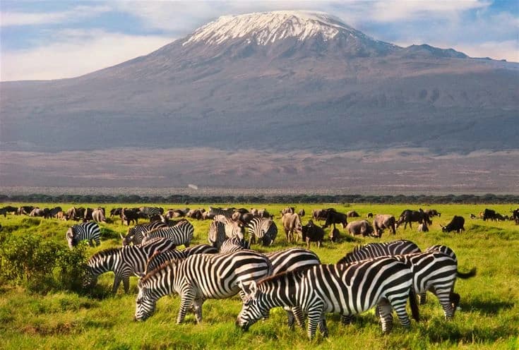 3 Nights Safari Program